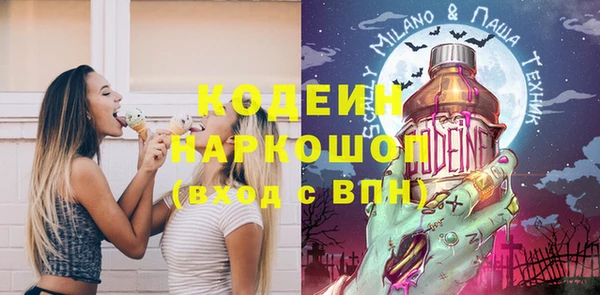 стаф Вязьма