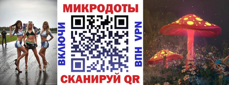 как найти закладки Гагарин Псилоцибиновые грибы Cubensis